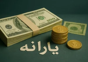 اختلاف یارانه نقدی ایران و عربستان؛ شهروندان سعودی چقدر دریافت میکنند؟