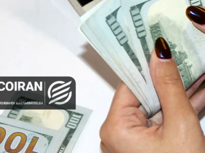 ارز ترجیحی قربانی چند نفر شد/ ۶ میلیارد دلار کجا رفت؟