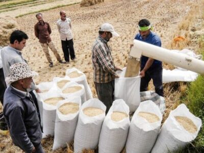 اندازه بازار جهانی ماشین آلات آسیاب برنج تا ۲۰۳۰ | ماشین آلات دست دوم؛ مانع گسترش بازار