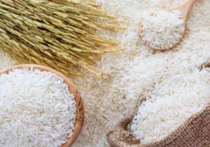 برنج هندی ارزان شد| برنج ایرانی در راه کاهش
