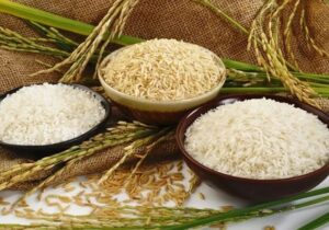 برنج پاکستانی و هندی با ارز آزاد به ترتیب کیلویی ۱۶۰ و ۱۳۵ هزار تومان عرضه میشود