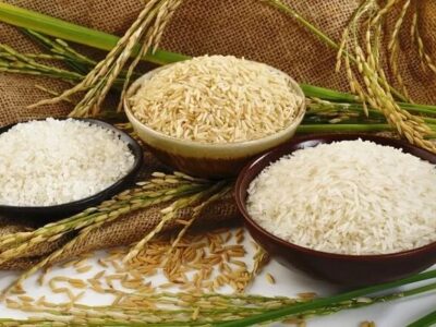 برنج پاکستانی و هندی با ارز آزاد به ترتیب کیلویی ۱۶۰ و ۱۳۵ هزار تومان عرضه میشود