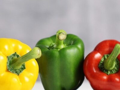 تفاوت فلفل دلمه ای نر و ماده در چیست؟/ فلفل دلمه ای نر برای پخت و پز بهتر است یا ماده ؟