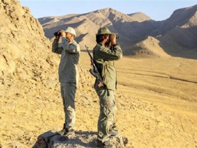 جذب ۸۰۰ نیروی جدید در سازمان حفاظت محیطزیست