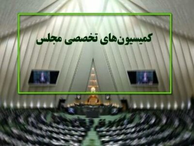 حضور ۵ وزیر در جلسات هفته جاری کمیسیونهای مجلس