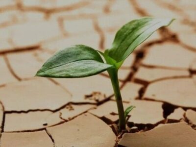 حل مسائل محیطزیست نیازمند پژوهش هدفمند و همکاری ملی است