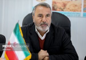 رضاییکوچی: کاهش بودجه فرهنگ مستقیماً بر قدرت نرم کشور اثرگذار است