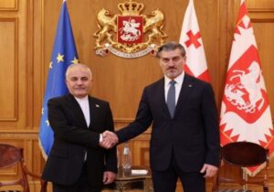 سفیر ایران در پایان ماموریت خود با رئیسجمهور گرجستان دیدار کرد