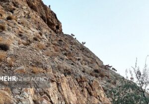 عواقب خطرناک عدم مدیریت اصولی پسماندها در حاشیه شهرهای استان سمنان