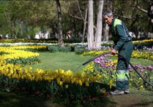 مردی با ادعای تامین آب برای ۲ میلیارد نفر به زاکانی پیوست+ عکس