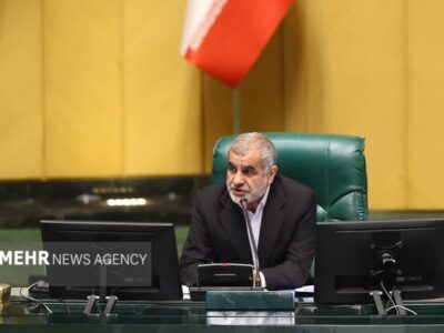 نیکزاد: سازمان برنامه و بودجه موظف به پرداخت یارانه نانوایان است