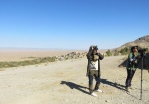 پرندگان شکاری در روستای قلعه بالای بیارجمند پایش میشوند