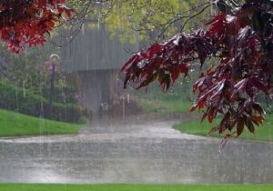 پیش بینی بارش پراکنده در استانهای ساحلی دریای خزر