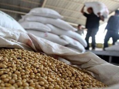 کاربرد فناوری هستهای در جلوگیری از فساد سویا در انبار