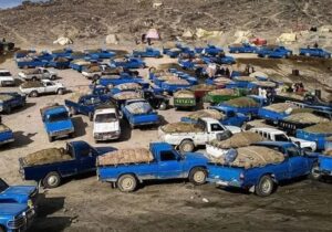 کاهش روزانه ۴.۵ میلیون لیتر قاچاق سوخت/ با متخلفان برخورد قضایی شدید میشود