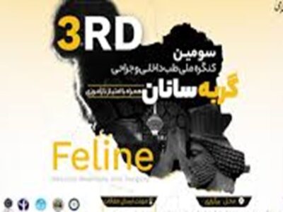 کنگره ملی طب داخلی و جراحی گربهسانان