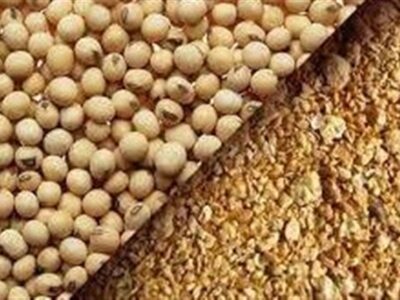 بهروزرسانی قیمت کنجاله سویا و توقف ثبت سفارشهای زمستانی