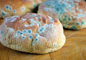 جدا کردن قسمت کپک زده از غذا کافی نیست!/ غذای کپک زده فقط مسموم نمی کند کبد و کلیه را هدف می گیرد!