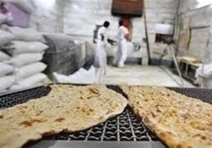 دولت اسیر استدلالهای غلط مدافعان حذف یارانه نان نشود