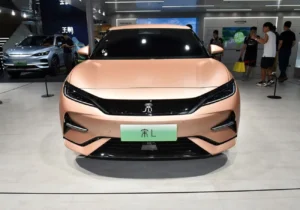 سقوط آزاد بیوایدی در ژانویه