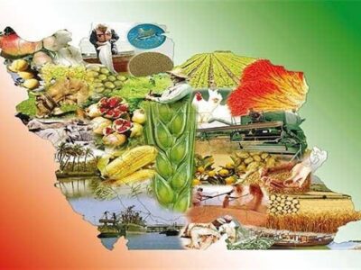 طرح ملی تنظیم بازار یکچارچه بخش کشاورزی آغاز شد