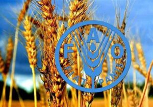فائو: استفاده از فناوری هستهای برای غلبه بر ناامنی غذایی ضروری است