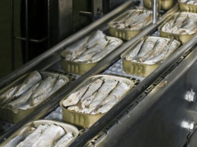 نگاهی به صنعت جهانی کنسرو ماهی تا ۲۰۳۳؛ سهم ۱۰درصدی کنسرو ماهی از تجارت جهانی ماهی