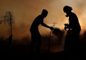 هشدار افزایش دما و وزش باد در شمال؛ احتمال وقوع آتش‌سوزی در جنگل‌ها