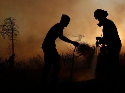 هشدار افزایش دما و وزش باد در شمال؛ احتمال وقوع آتشسوزی در جنگلها