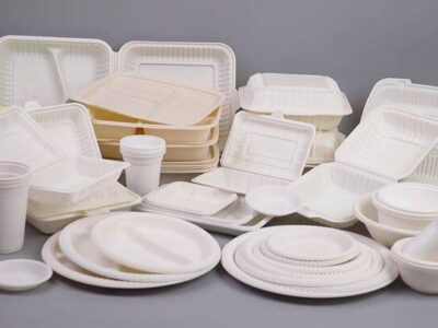 هشدار به کارگاههای زیرپلهای تولید ظروف یکبار مصرف| پلمب در انتظار متخلفان