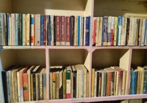 چرا بعضی کتابها کمیاب یا نایاب میشوند؟