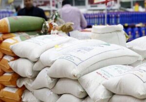 چشم انداز تولید غلات در ۲۰۲۶؛ تجارت برنج به اوج خود می رسد