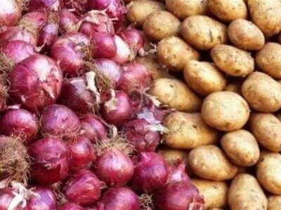 افزایش عرضه سیب زمینی به شهرهای مسافرپذیر با توقف صادرات