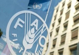 ایران خواستار استفاده رسمی از نام «خلیج فارس» در اسناد فائو شد