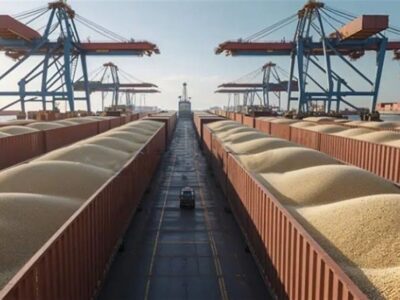 زنجیره تأمین غلات لحظهای متوقف نمیشود