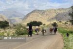 آغاز کوچ بهاره عشایر ایلام؛تمام راه های کوچ ییلاقی باز است