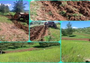 احداث «آتشبر» در عرصههای جنگلی و مرتعی چگنی