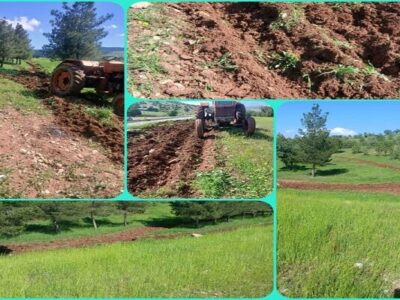 احداث «آتشبر» در عرصههای جنگلی و مرتعی چگنی