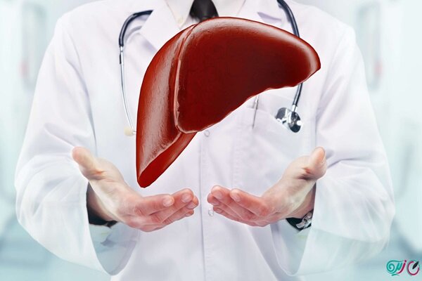 اخبار،اخبار جدید،اخبار روز اخبار،اخبار جدید،اخبار روز