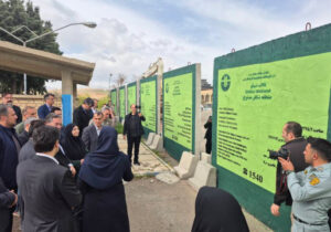 انصاری: گوزن زرد ایرانی گونه با ارزش باید صیانت شود