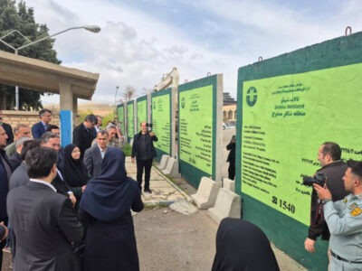 انصاری: گوزن زرد ایرانی گونه با ارزش باید صیانت شود