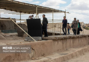 تشکیل زنجیره انسانی بر روی تپه های جهانی سیلک