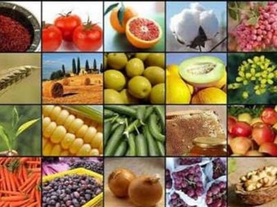 جهش تولید کشاورزی به ۱۳۰ میلیون تن در سایه جنگ و خشکسالی