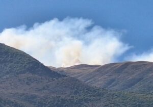 حمله به سازمان منابع طبیعی را به نهادهای سازمان ملل منعکس کردهایم