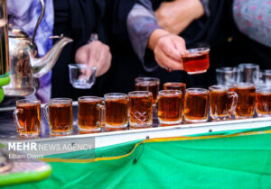 خدمترسانی ۸ موکب جادهای به حدود ۴ هزار زائر پیاده دهه کرامت در مشهد