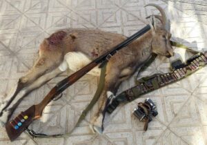 دستگیری ۴ شکارچی غیرمجاز در پارک ملی توران؛ لاشه قوچ وحشی کشف شد