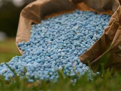 دغدغههای تولید کود در روزهای سخت؛ ضرورت بازنگری روند تخصیص ارز و مجوز