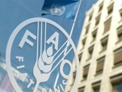 رشد ۲.۴ درصدی قیمت جهانی غذا در یک ماهه جنگ آمریکا علیه ایران
