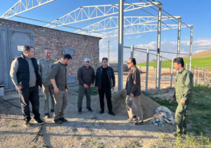 سایت تکثیر و مرکز تحقیقات میش مرغ بوکان تکمیل می شود