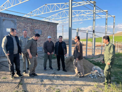 سایت تکثیر و مرکز تحقیقات میش مرغ بوکان تکمیل می شود